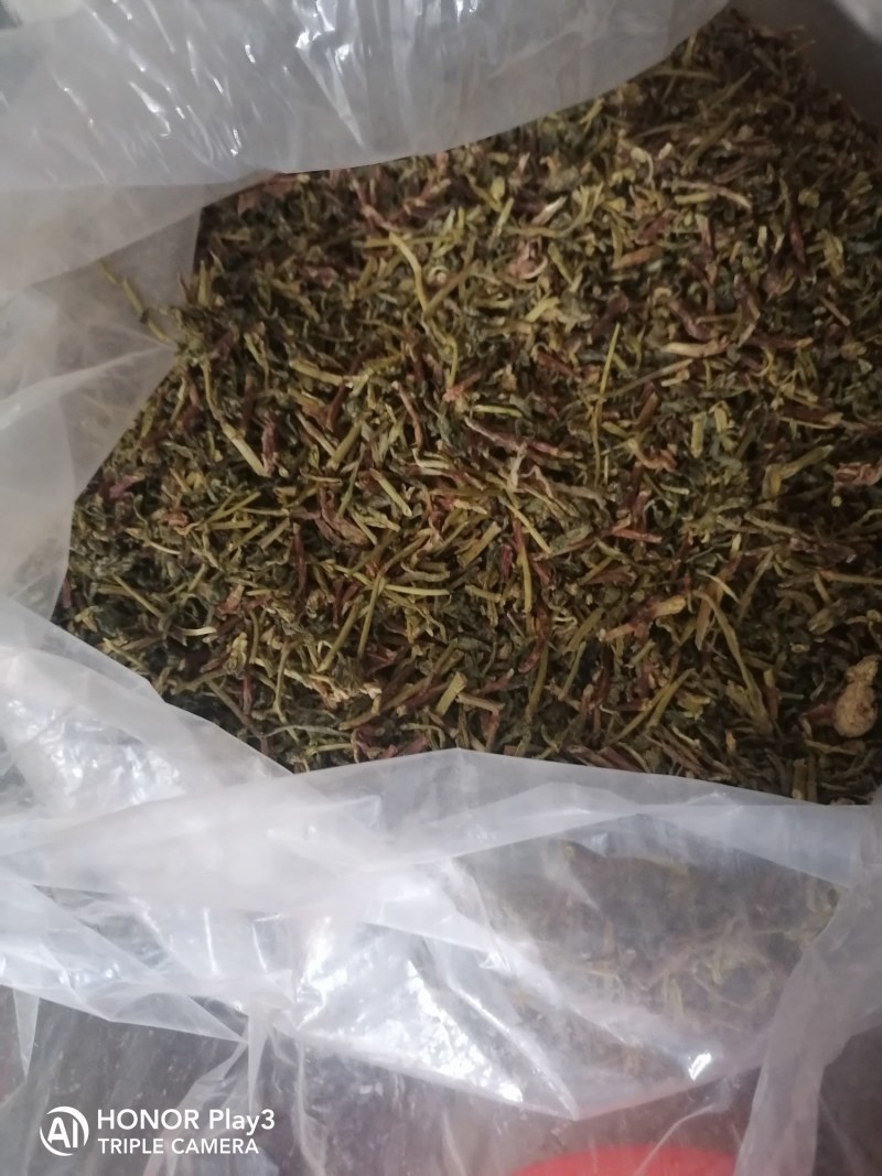 热销景天三七