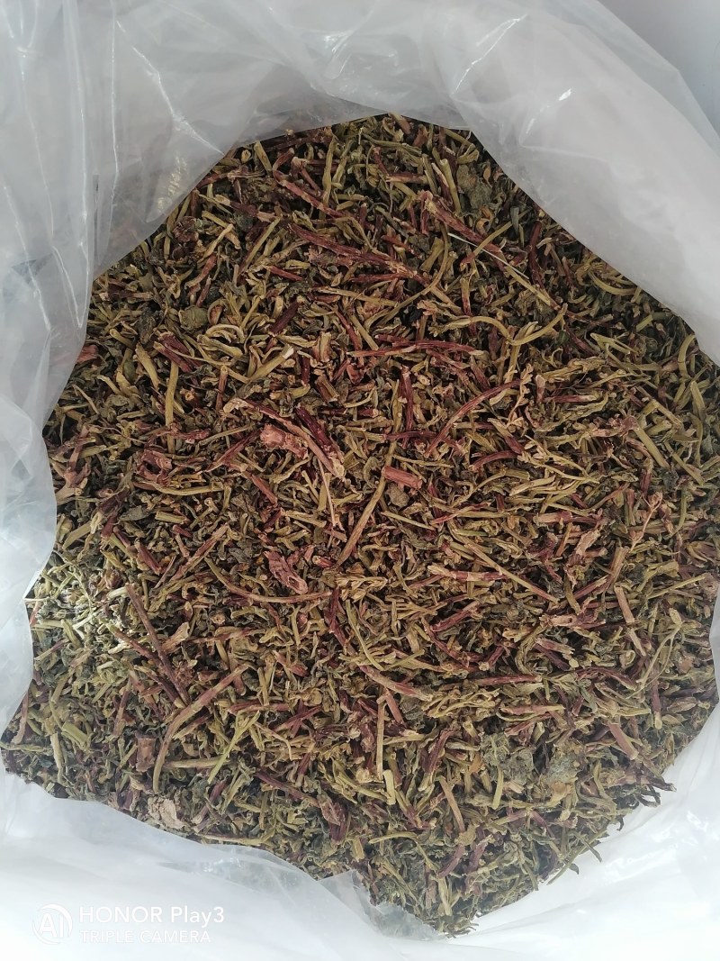 热销景天三七