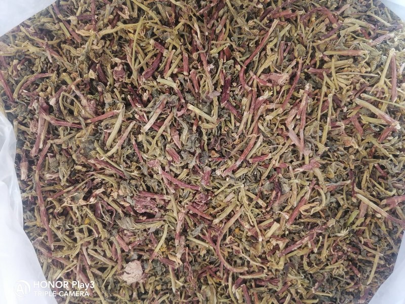 热销景天三七