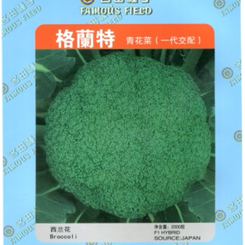 西兰花种子，产量高，米粒小，花球好看颜色绿