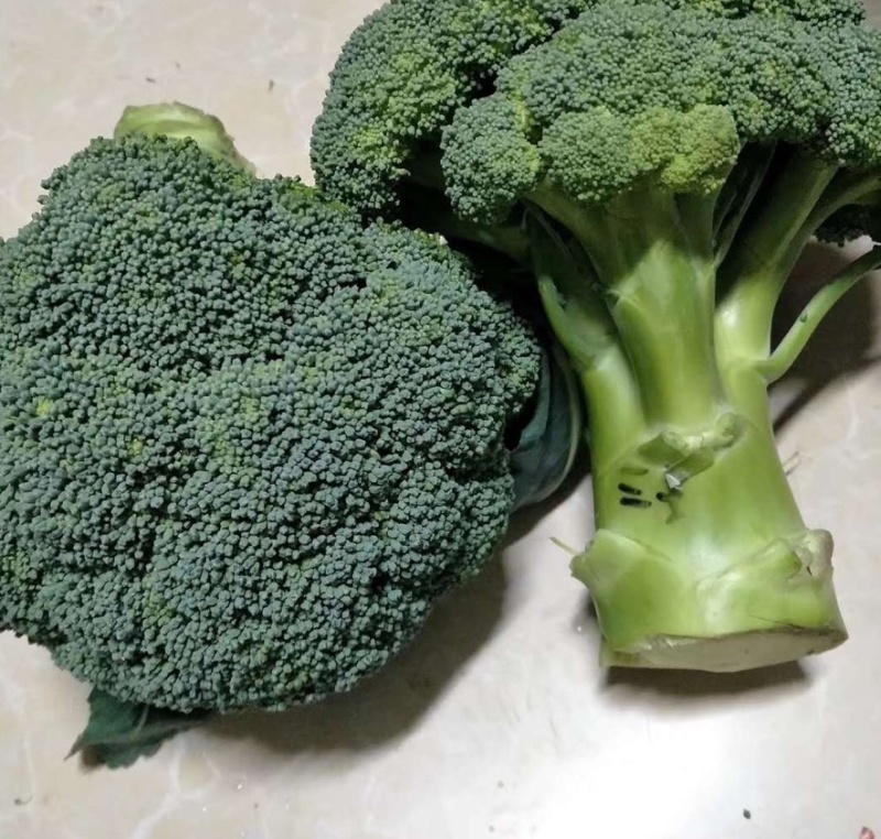 西兰花种子，产量高，米粒小，花球好看颜色绿