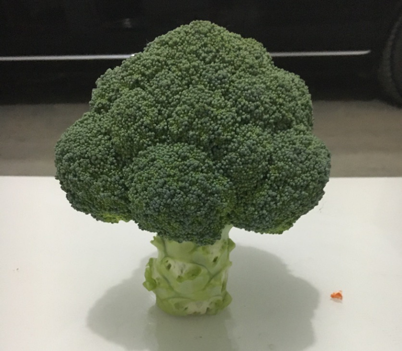西兰花种子，产量高，米粒小，花球好看颜色绿