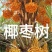 黑椰枣黄椰枣干果零食干椰枣休闲零食椰枣5斤包邮
