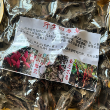 500克回春草一盒300克纯野生大量批发干货