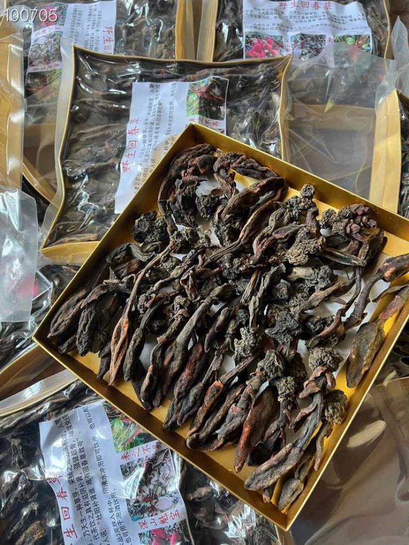 500克回春草一盒300克纯野生大量批发干货