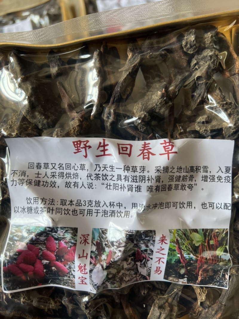 500克回春草一盒300克纯野生大量批发干货