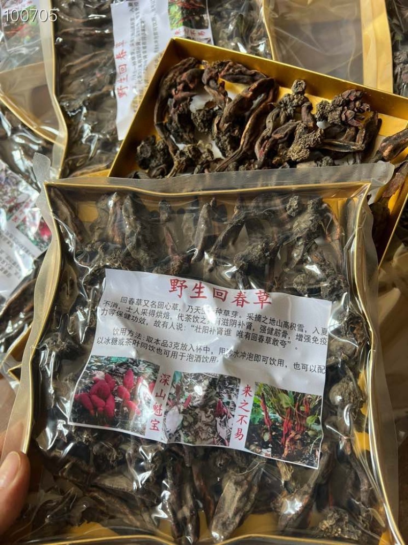 500克回春草一盒300克纯野生大量批发干货