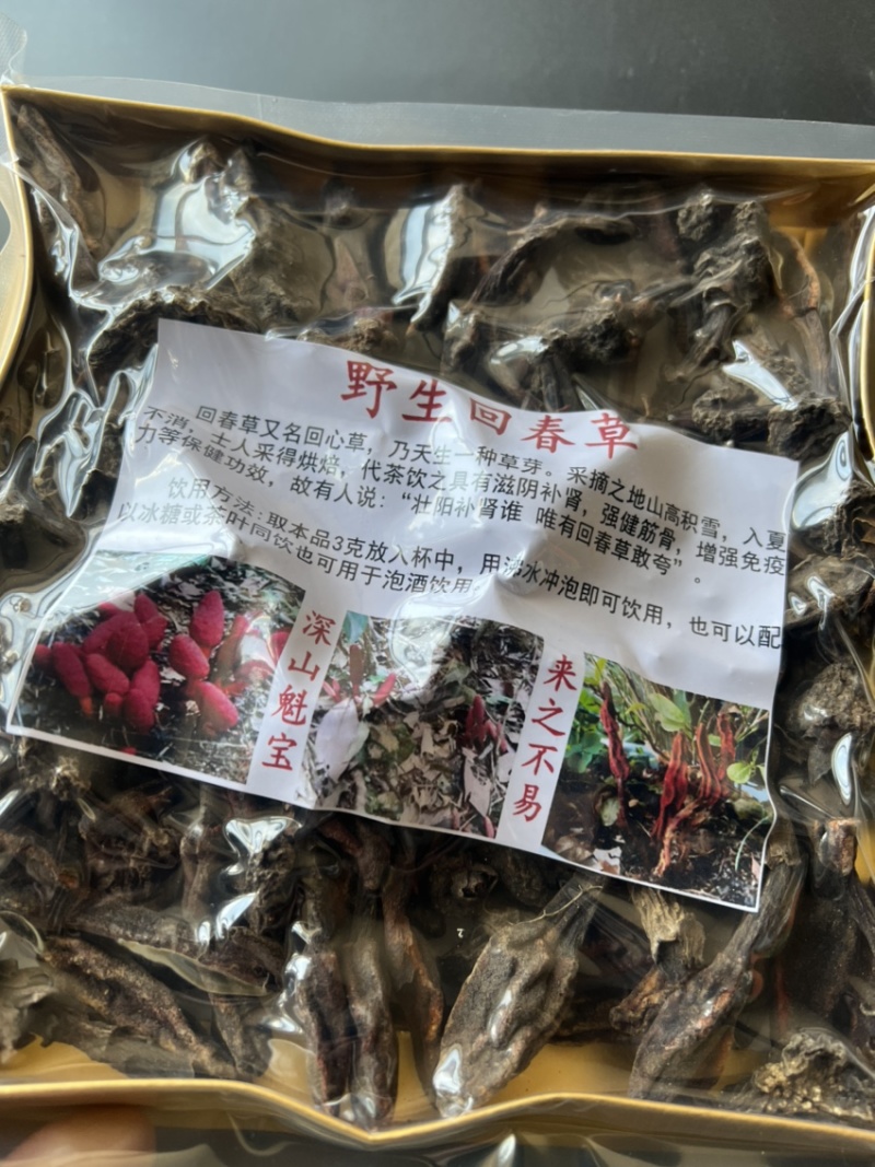 500克回春草一盒300克纯野生大量批发干货