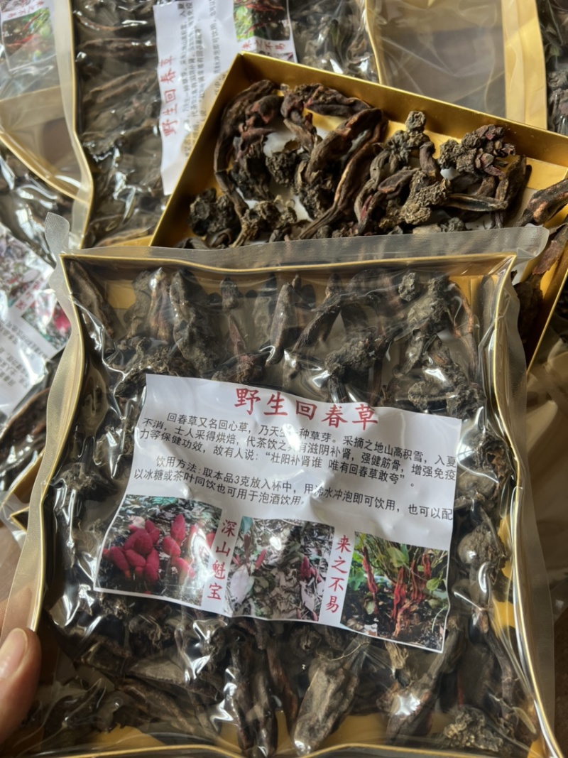 500克回春草一盒300克纯野生大量批发干货