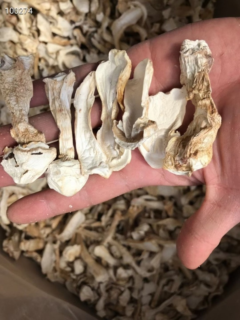云南香格里拉野生松茸干片味香煲汤佳选250克松茸干