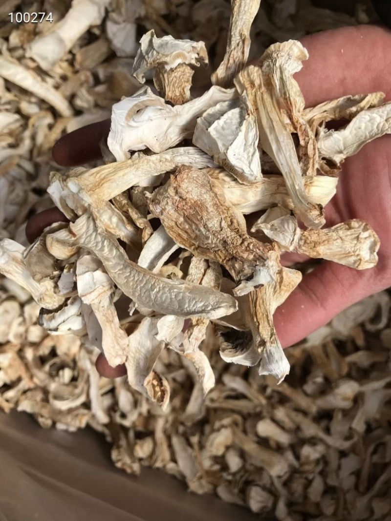 云南香格里拉野生松茸干片味香煲汤佳选250克松茸干