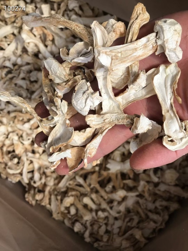 云南香格里拉野生松茸干片味香煲汤佳选250克松茸干