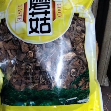 东北野生臻蘑