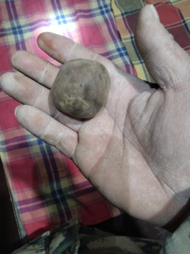 羊结石