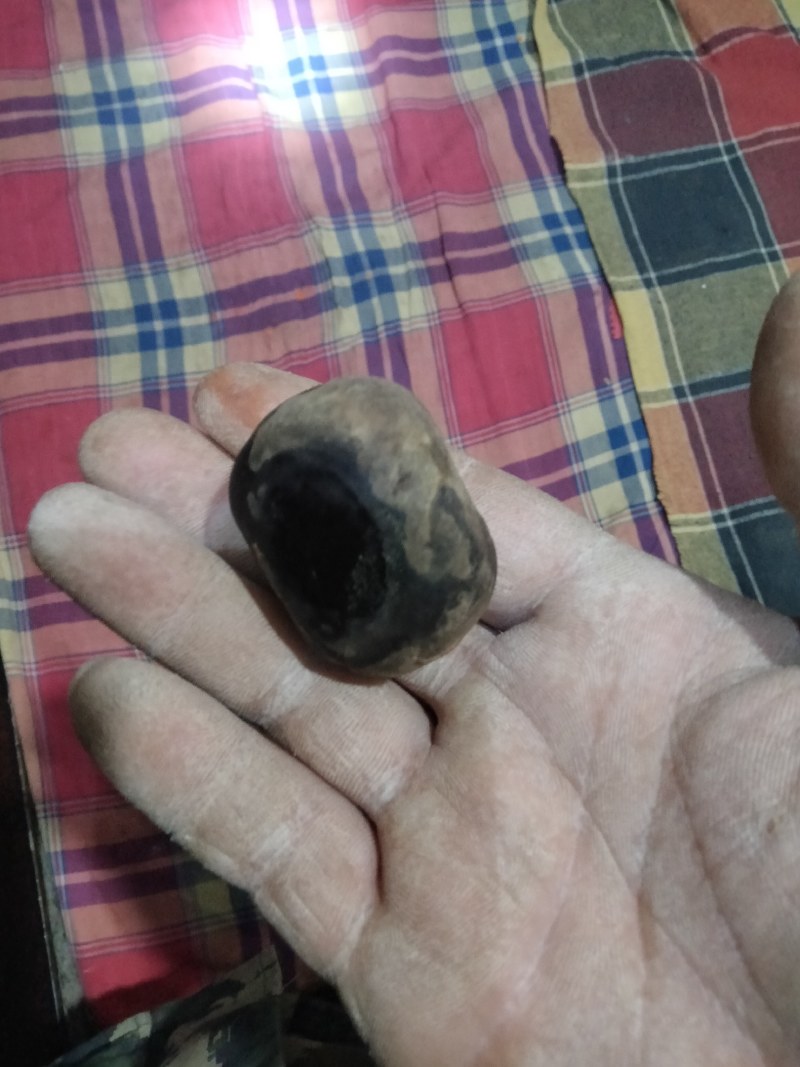 羊结石