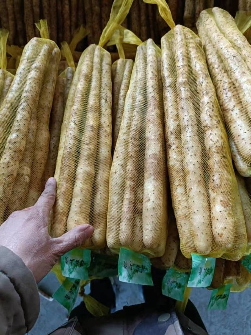 安平小白嘴山药，精品白山药网袋，产地直发，一手货源