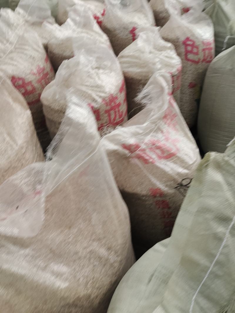 优质红花籽，榨油用，鸽粮用，出油23以上，品质非常好
