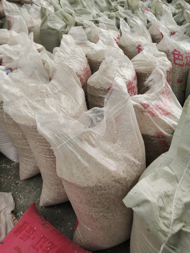 优质红花籽，榨油用，鸽粮用，出油23以上，品质非常好