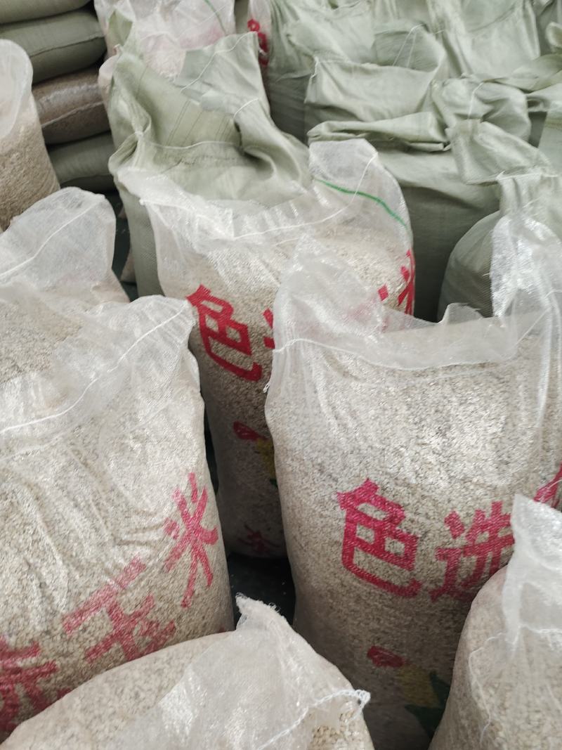 优质红花籽，榨油用，鸽粮用，出油23以上，品质非常好
