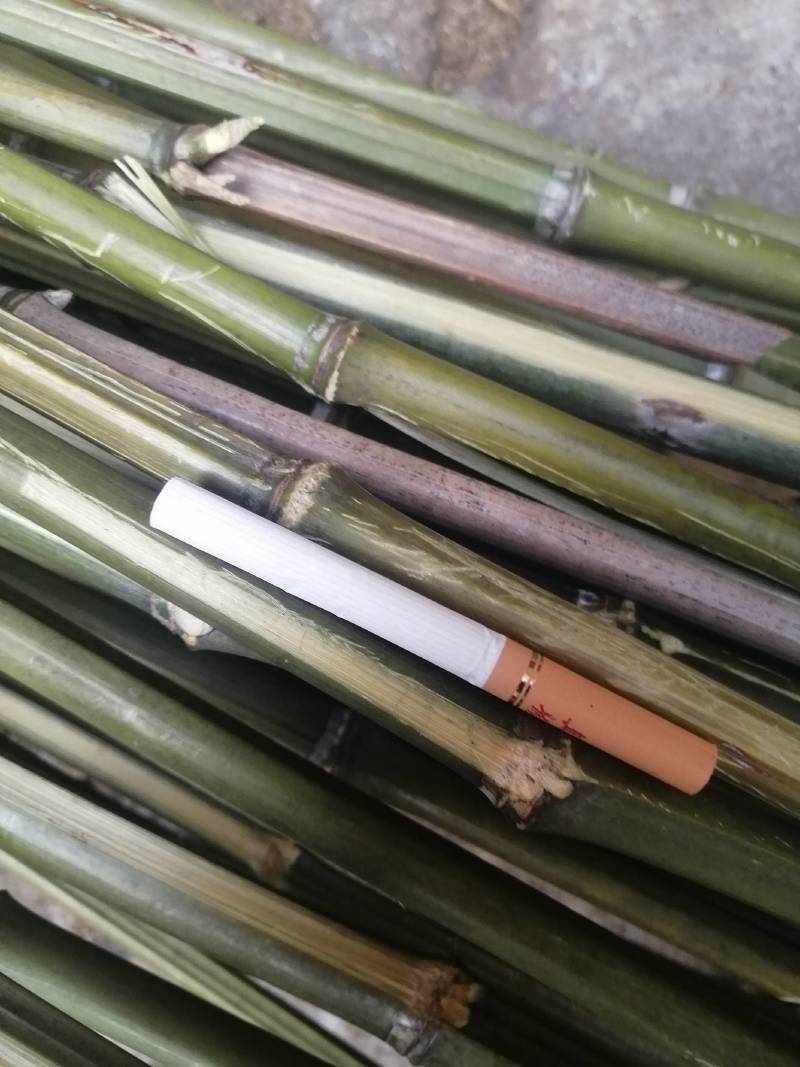 小竹子，竹篱，豆插，瓜架，