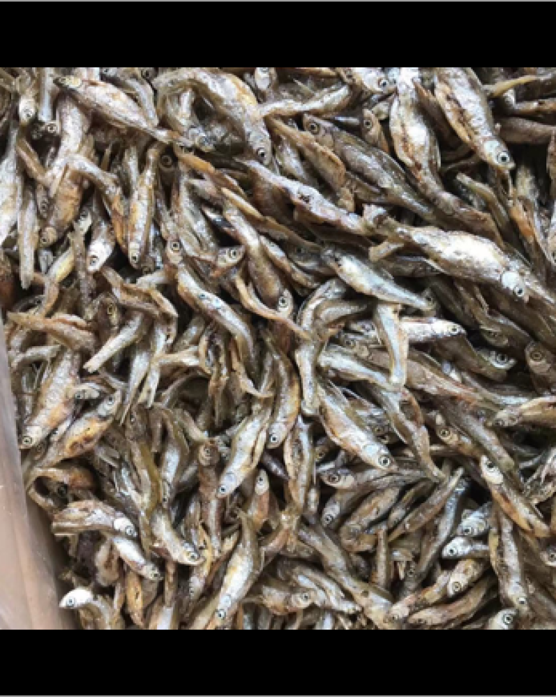 油炸鱼干白肖叼子翘白蓝刀油炸小鱼干小鱼仔鱼干无盐鱼干