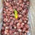 小龙虾140粒龙虾尾网红款龙虾尾口感好