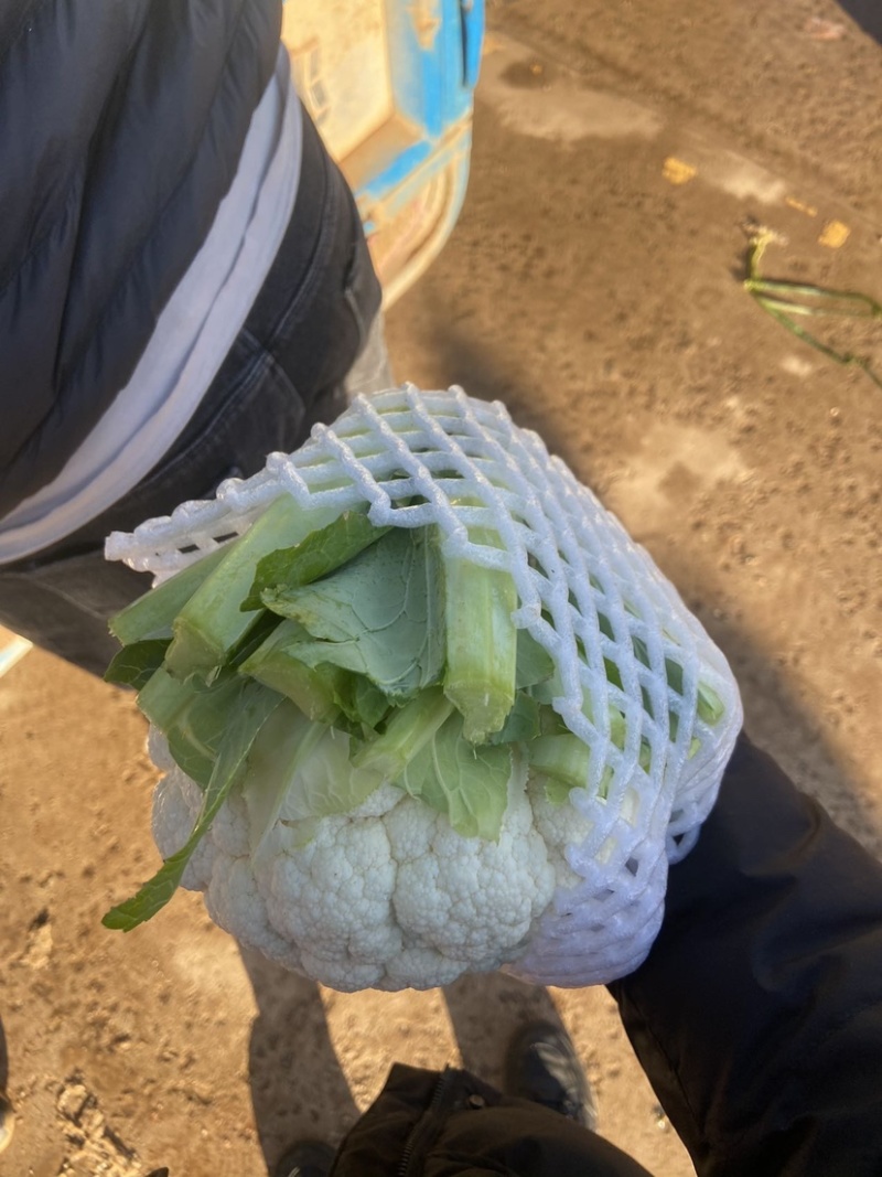 菜花，小实花