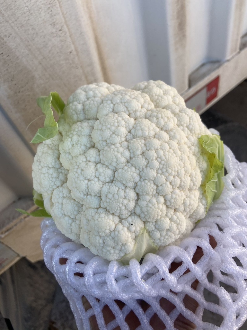 菜花，小实花
