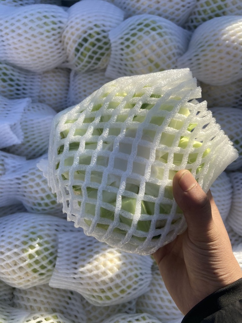 菜花，小实花