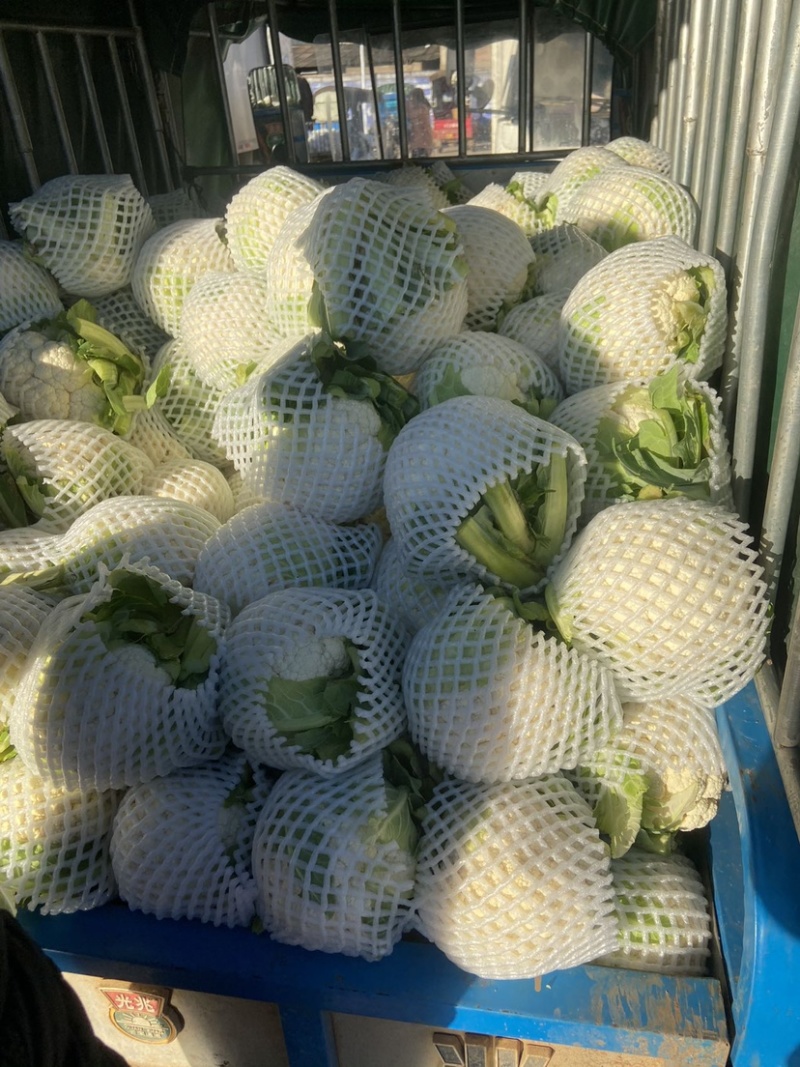菜花，小实花