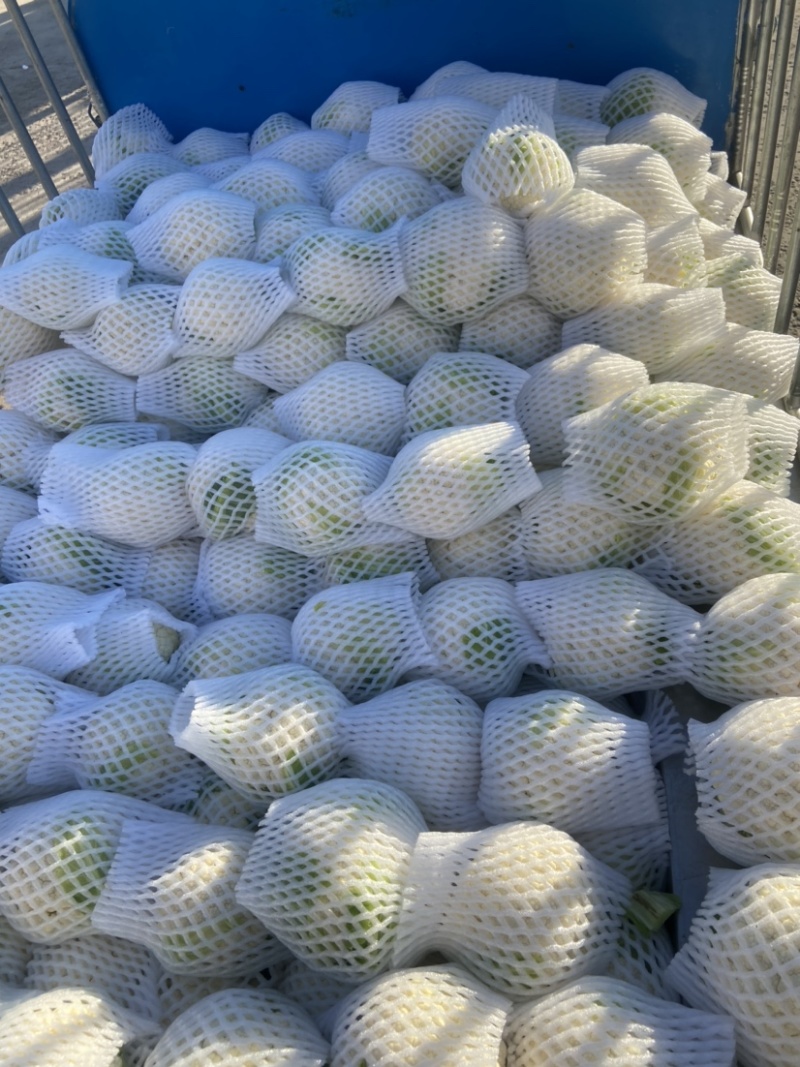 菜花，小实花