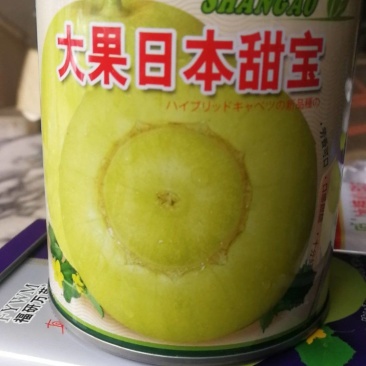 大果日本甜宝，芳香可口，口感甜脆，十分好吃。