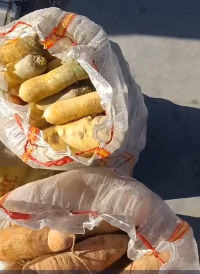 胡萝卜，不添加防腐剂，原汁原味，富含胡萝卜素等多种维生素