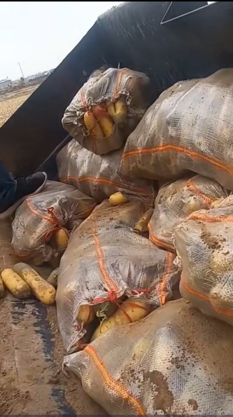 胡萝卜，不添加防腐剂，原汁原味，富含胡萝卜素等多种维生素