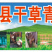 小麦秸秆，玉米草，青贮草料，营养丰富，长肉快