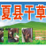 小麦秸秆，玉米草，青贮草料，营养丰富，长肉快