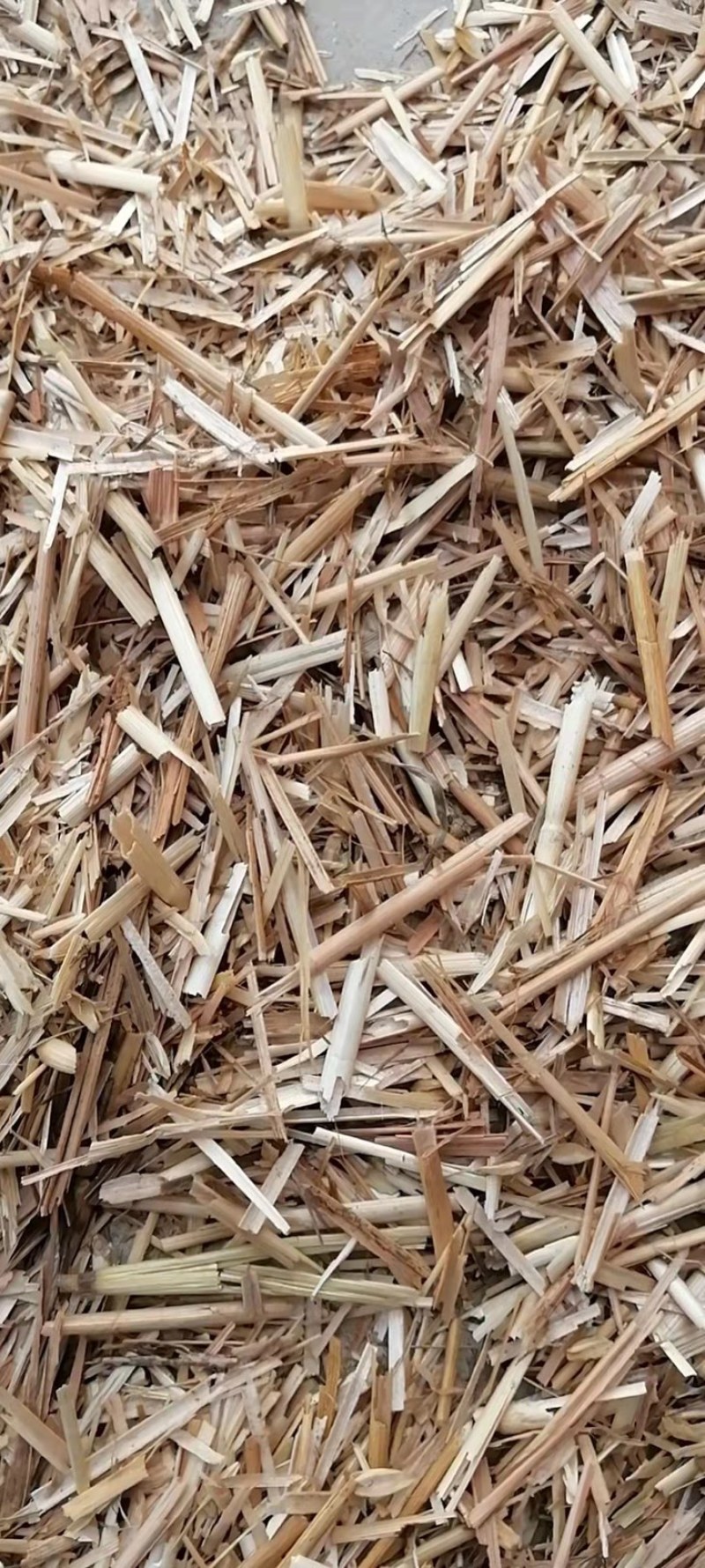 小麦秸秆，玉米草，青贮草料，营养丰富，长肉快