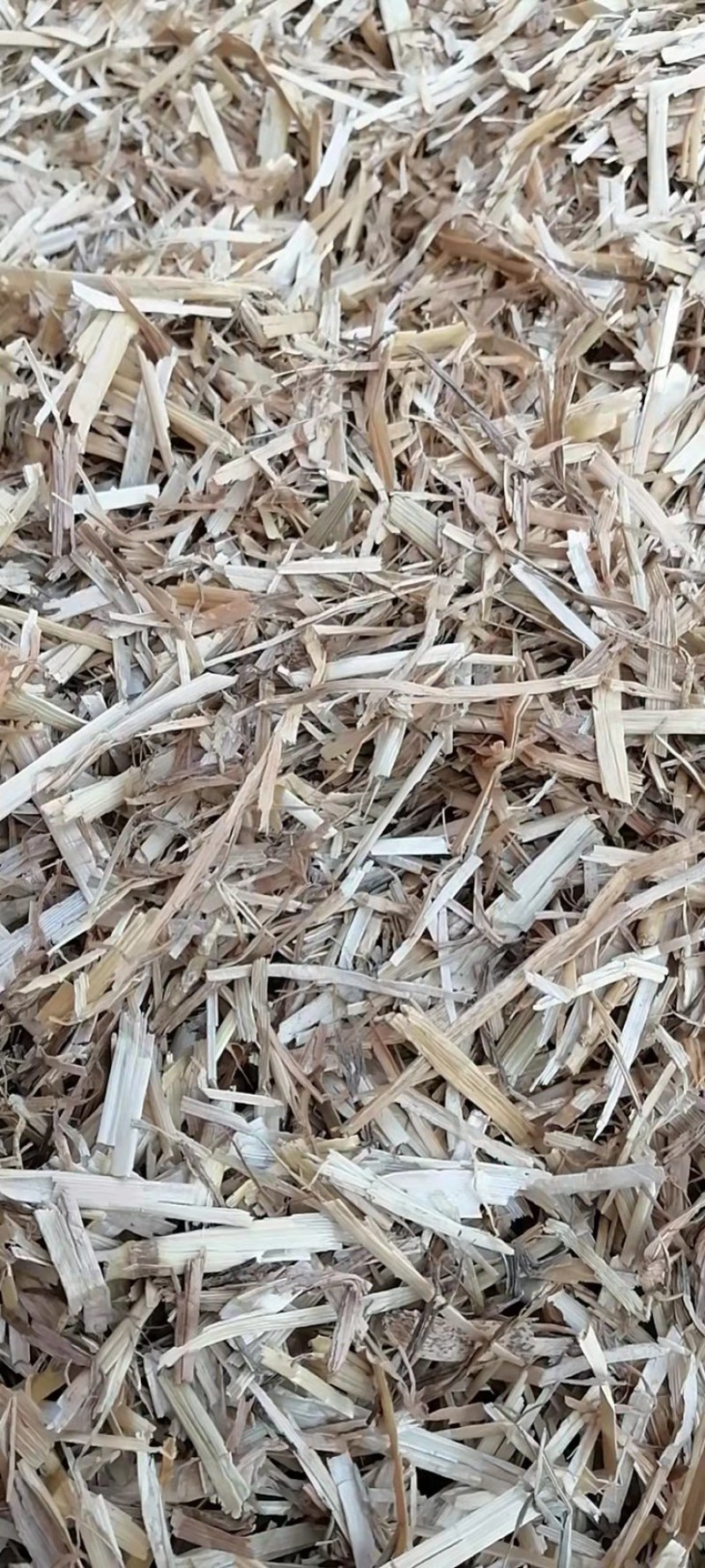 小麦秸秆，玉米草，青贮草料，营养丰富，长肉快