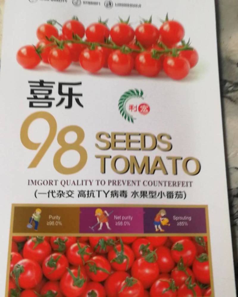 喜乐98小番茄，一代杂交高抗T丫病毒果肉厚果红色风味甜美