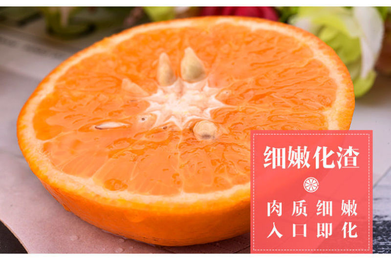 沃柑