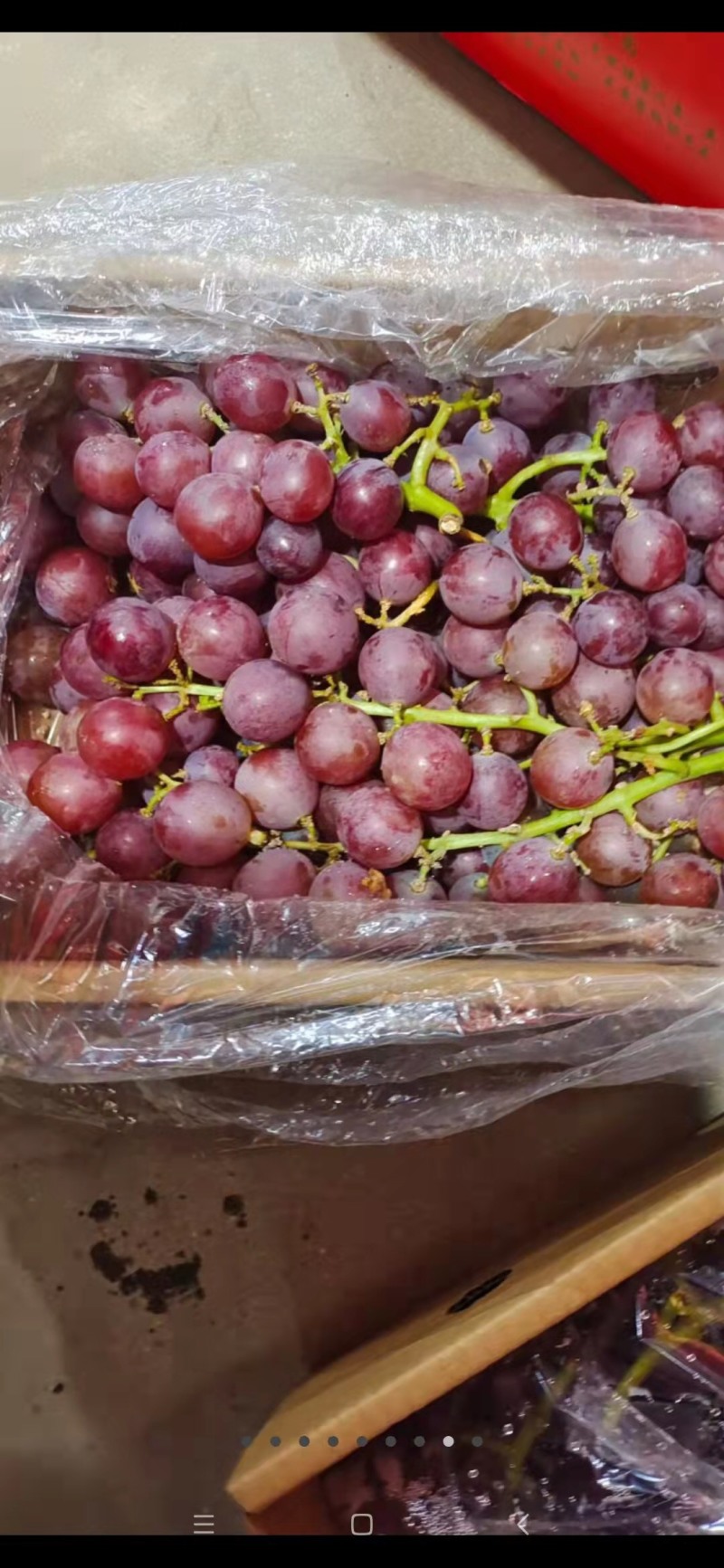 葡萄，阳光玫瑰，巨峰，等多个品种口感好