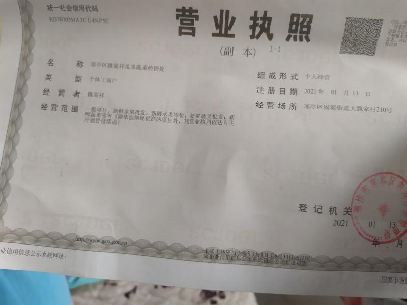 正宗青克力水果萝卜，口感脆甜糖度高达12.7，货源充足