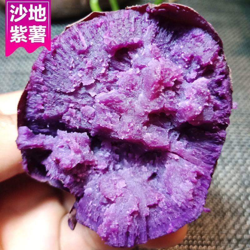 产地销新鲜紫薯批发价紫罗兰沙地紫薯番薯新鲜蔬菜鲜紫薯