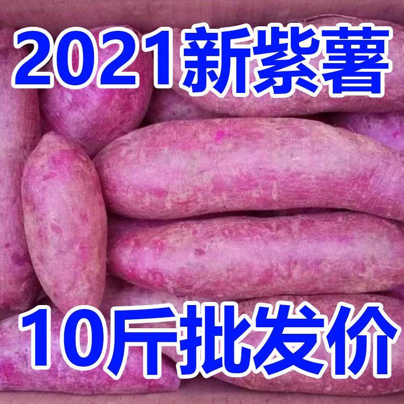产地销新鲜紫薯批发价紫罗兰沙地紫薯番薯新鲜蔬菜鲜紫薯