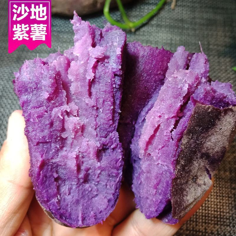 产地销新鲜紫薯批发价紫罗兰沙地紫薯番薯新鲜蔬菜鲜紫薯