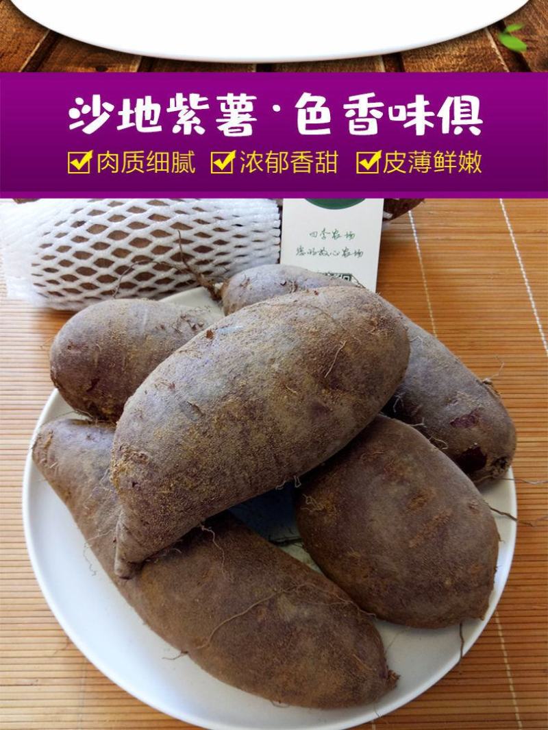 产地销新鲜紫薯批发价紫罗兰沙地紫薯番薯新鲜蔬菜鲜紫薯