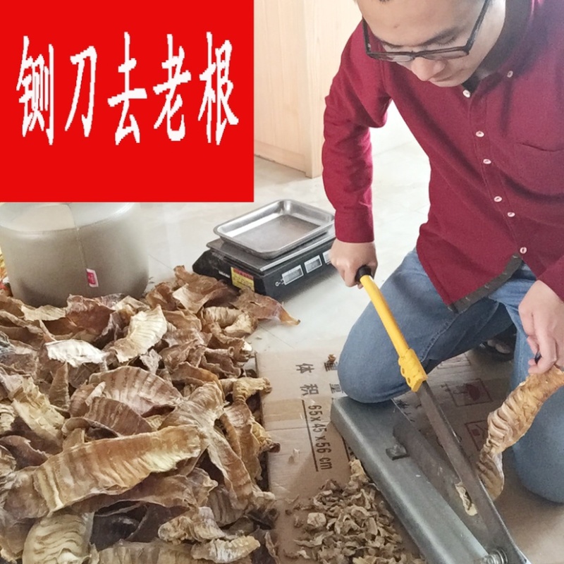 福建永安明前春笋干农家自制笋尖
