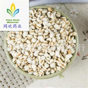 【大粒薏苡仁】@【同欢药材】中药材批发供应规格齐全