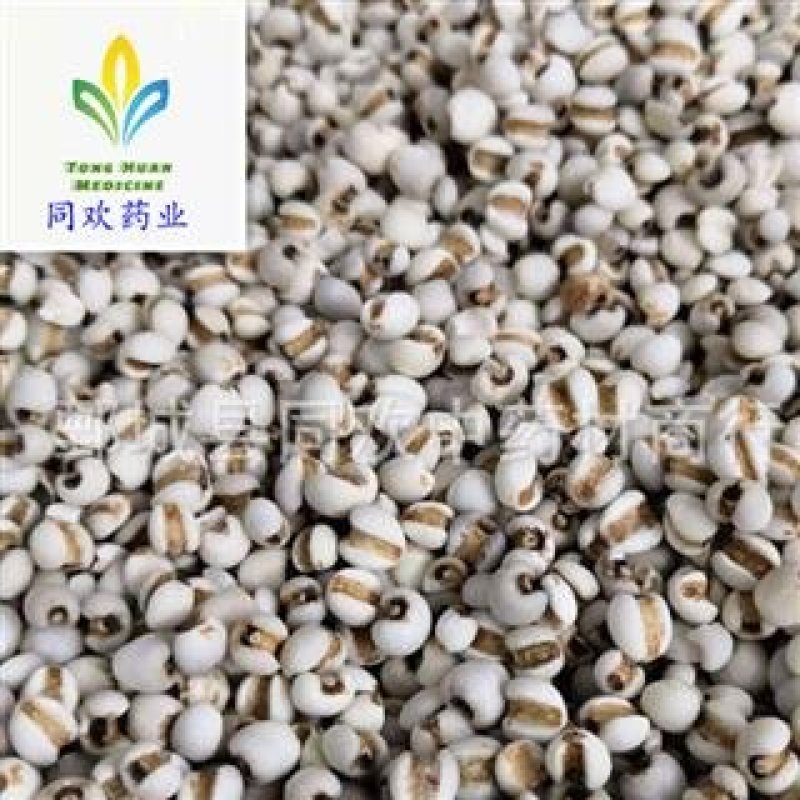 【国产小粒薏苡仁98米】@【同欢药材】中药材批发供应