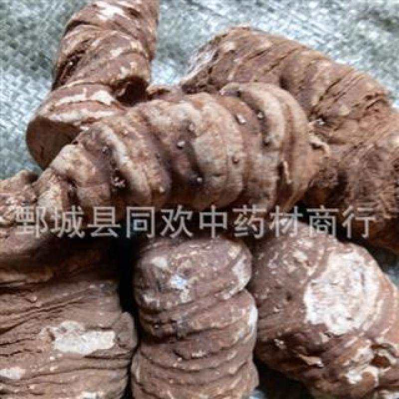 【国产重楼选货蚤休七叶一枝花】@【同欢药材】